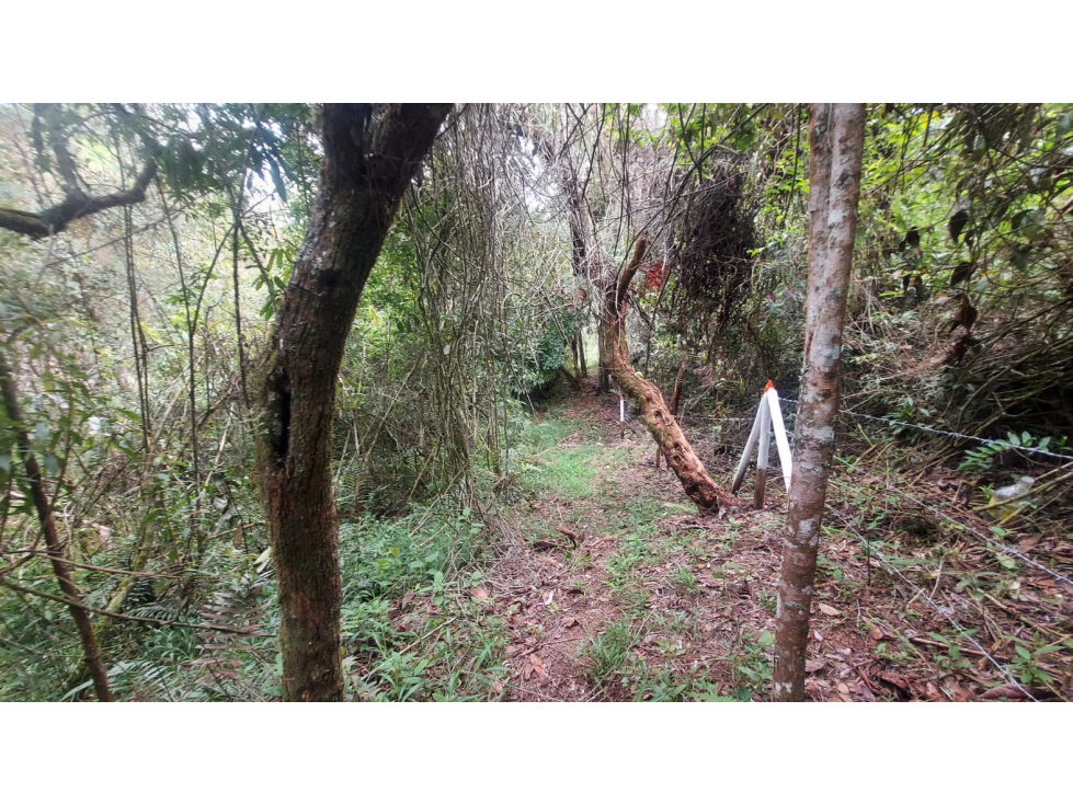Lote en Venta en San Viecente de Ferrer Vda San Nicolas — foto 4