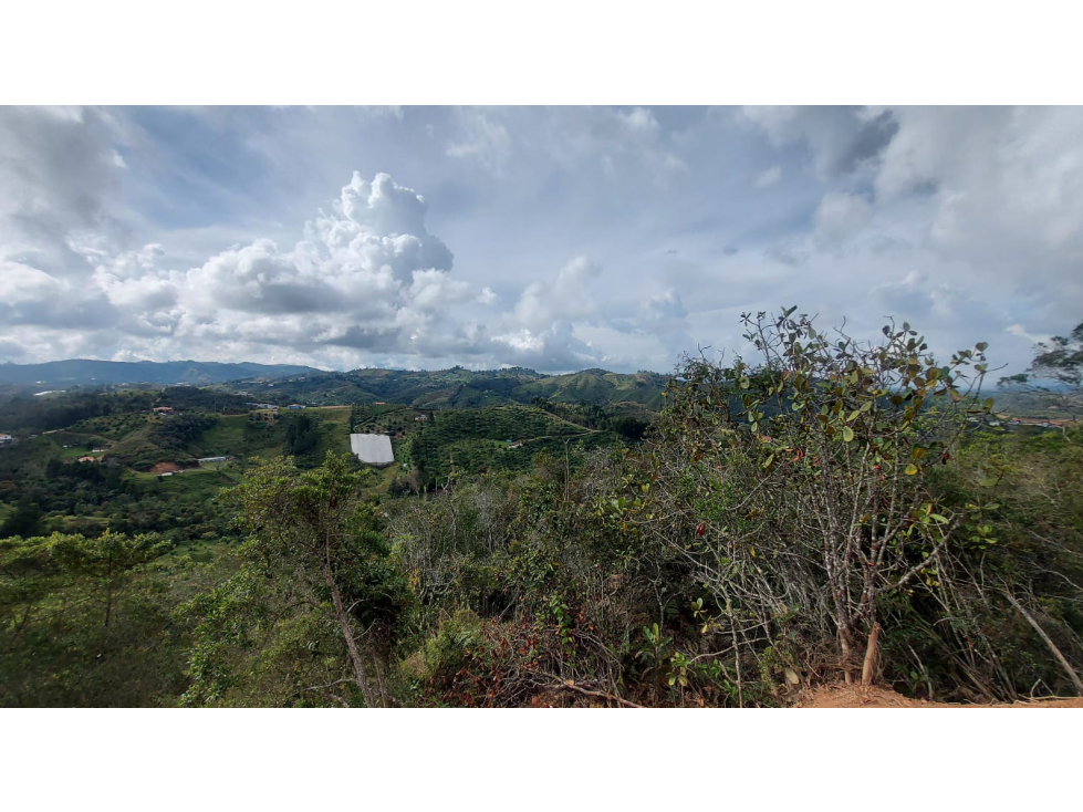 Lote Independiente en Venta en San Vicente de Ferrer Vda La Enea — foto 4