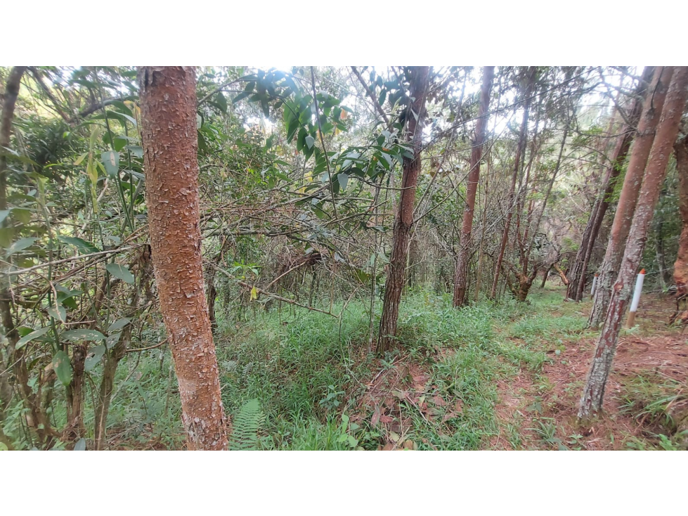 Lote en Venta en San Viecente de Ferrer Vda San Nicolas — foto 5