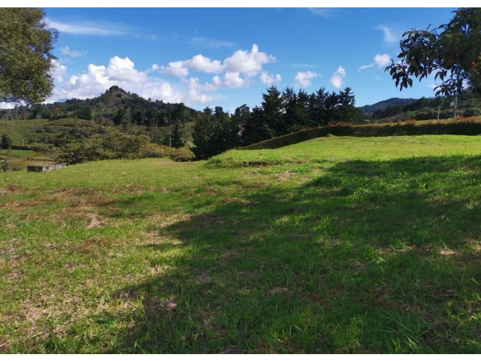 Lote en Venta en Prcelacion en Rionegro Antioquia sector Sajonia — foto 6