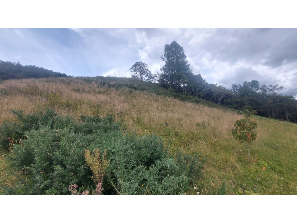 Lote en Venta en Parcelación en el Alto de Escobero — foto 6