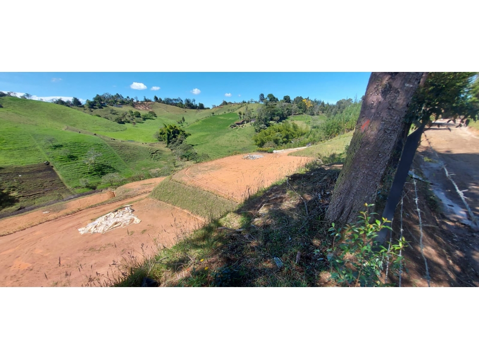 Lote en Venta en El Carmen de Viboral Vereda el Salado — foto 5