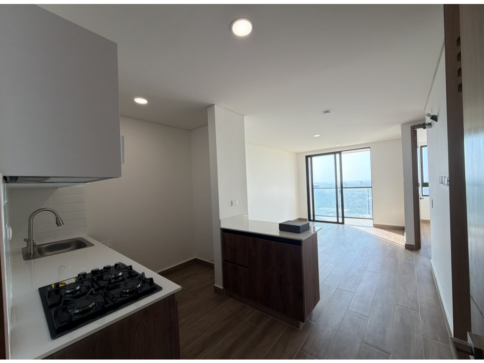 VENTA O RENTA DE APARTAMENTO EN VIVE RIO — foto 3
