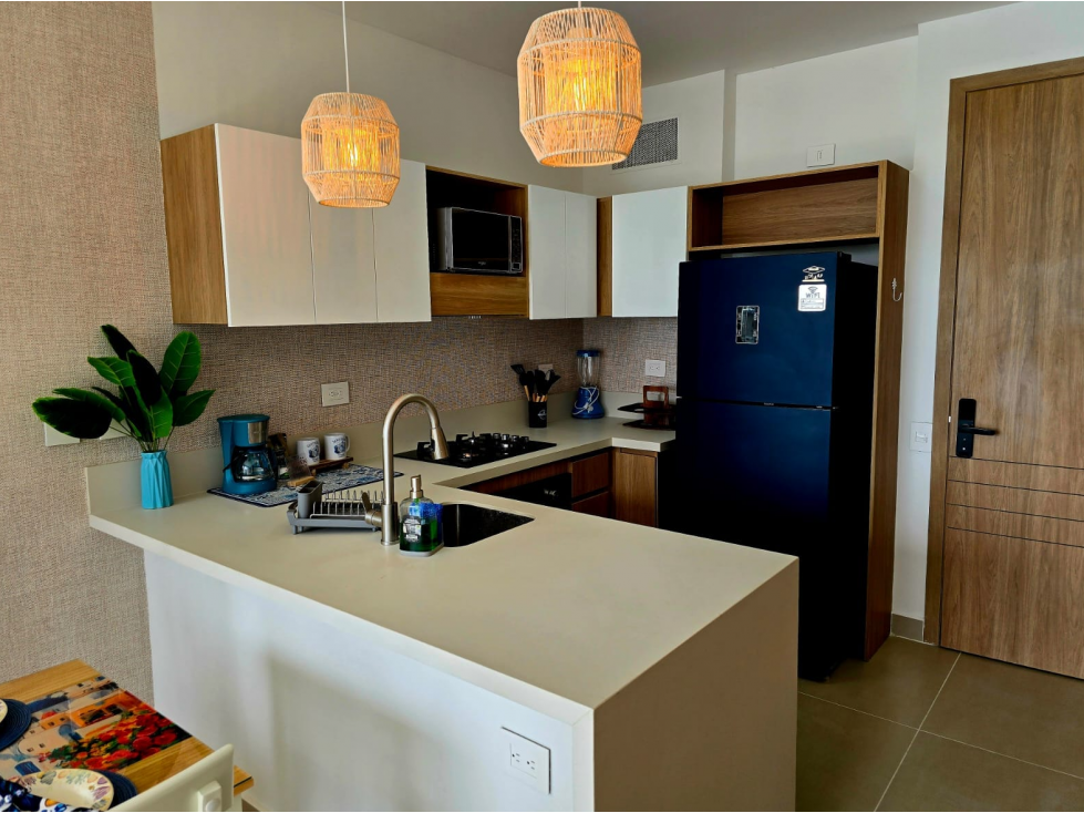 VENTA DE APARTAMENTO DE USO MIXTO EN CARTAGENA — foto 6