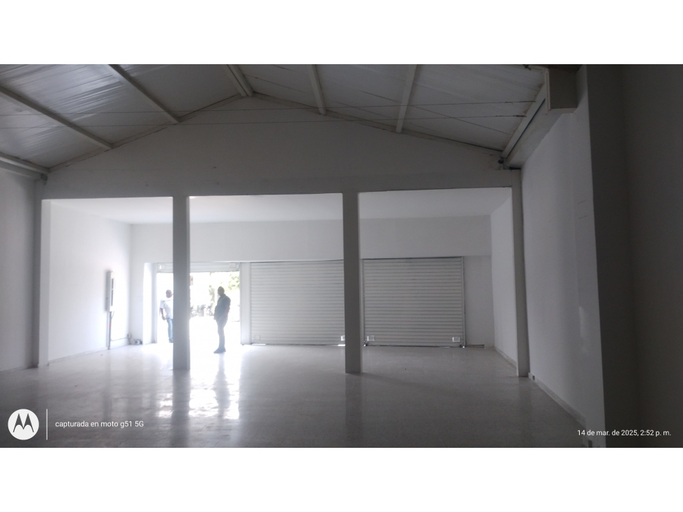 Local Bodega Cotorra - 1