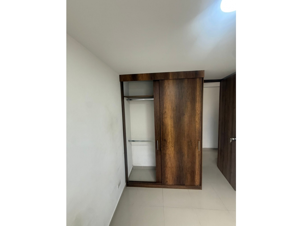 PALMERAS ETAPA 3