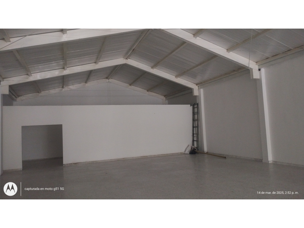 Local Bodega Cotorra - 3