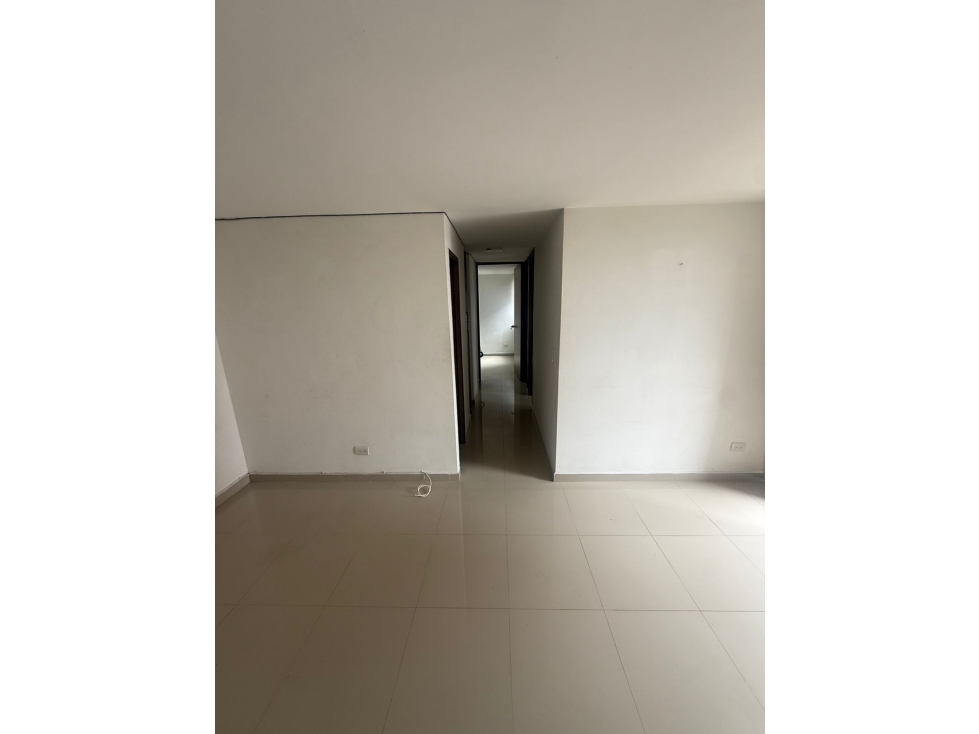 PALMERAS ETAPA 3 — foto 6
