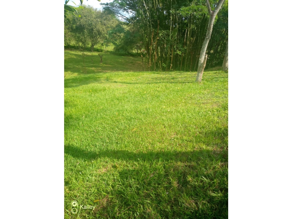 Finca para la venta - 4