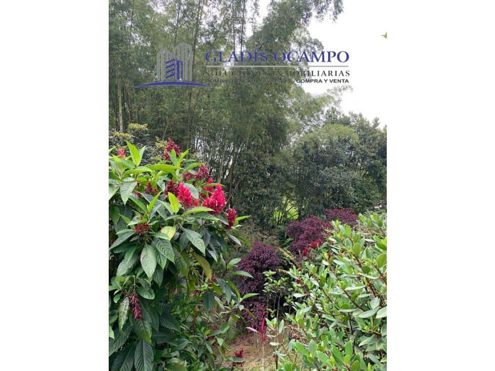 Casa Campestre - 2