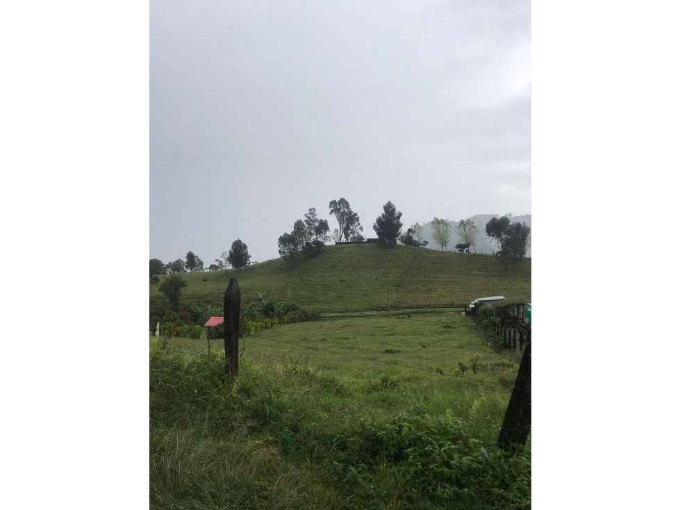 Lote con servicios para la venta - Vía Termales a borde de carretera - 3