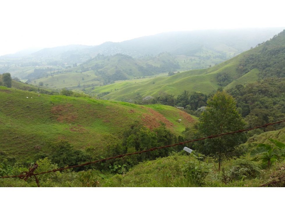 FINCA EN VENTA CON 2 VÍAS DE ACCESO - 5