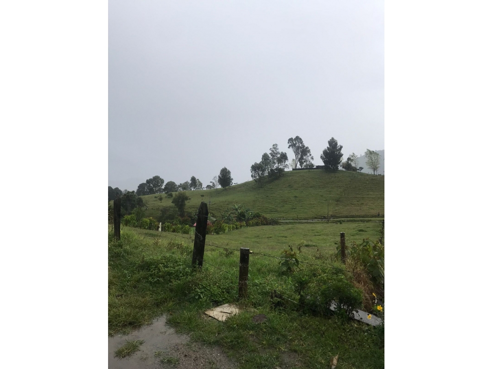 Lote con servicios para la venta - Vía Termales a borde de carretera - 4