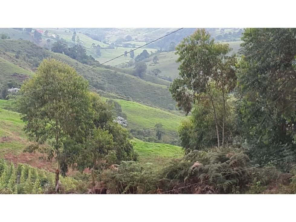 FINCA EN VENTA CON 2 VÍAS DE ACCESO - 6