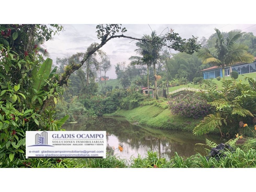 Lote Rural para la venta - 5