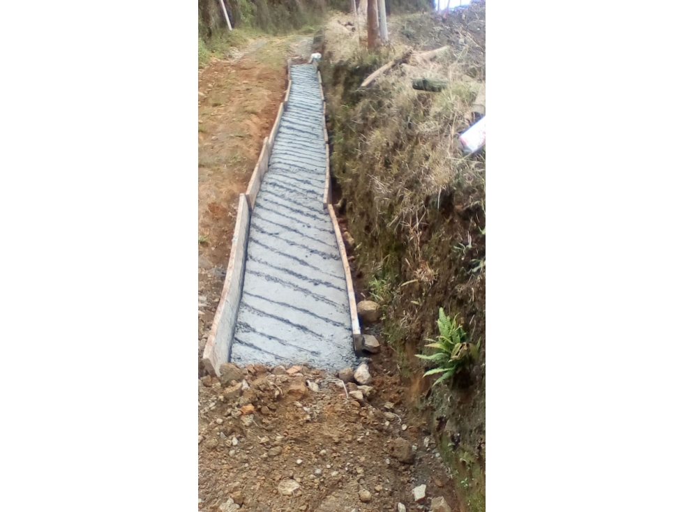 Finca con café y plátano para la venta - 4
