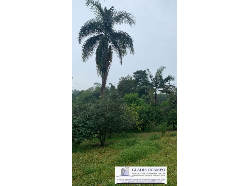Lote Rural para la venta - 6