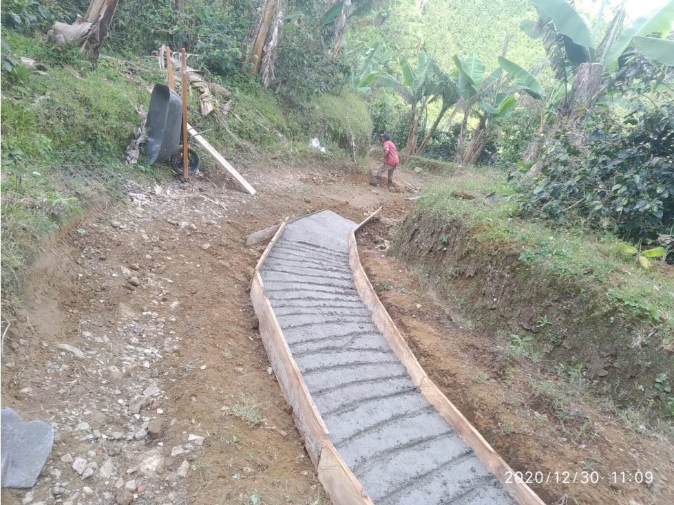 Finca con café y plátano para la venta - 6