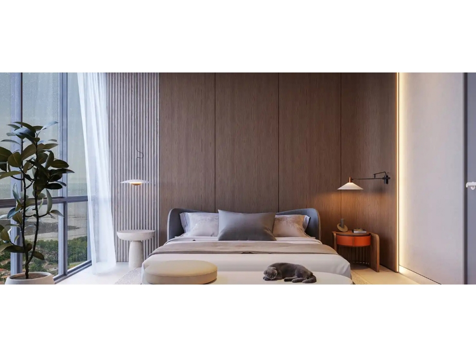 SE VENDE APARTAMENTO PH BIOMA COSTA DEL ESTE NUEVOS PROYECTOS — foto 5