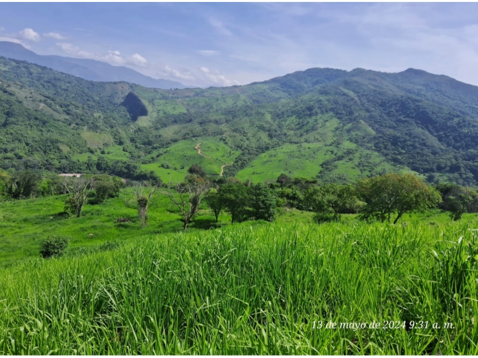 VENDO FINCA DE 81 HECTAREAS EN DURANIA - 1