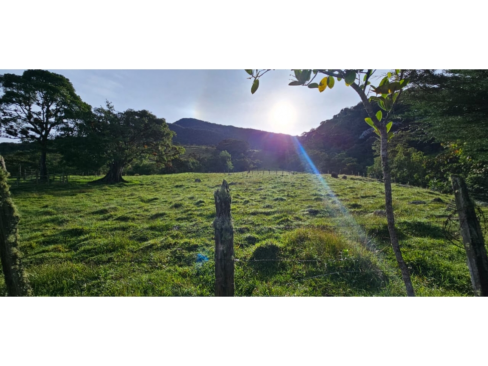 VENDO LOTE EN ISCALÁ SUR DE CHINACOTA - 1
