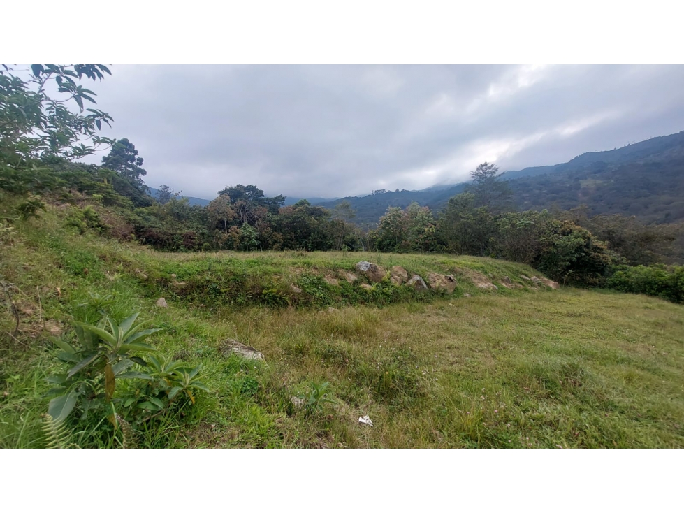 VENDO LOTE ECONOMICO EN CHINACOTA - 1