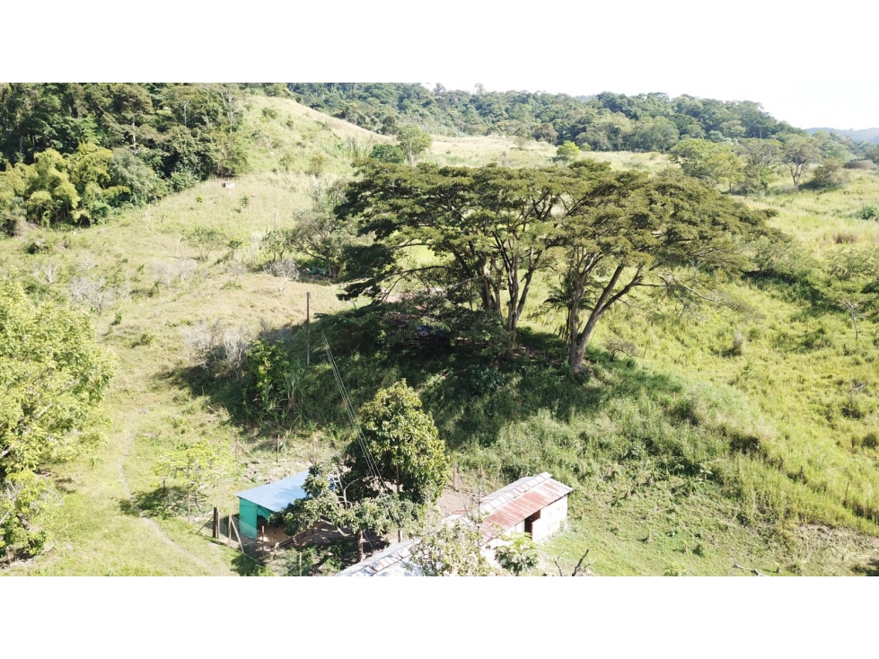 VENDO O PERMUTO FINCA EN CHINACOTA CON AGUAS TERMALES - 5