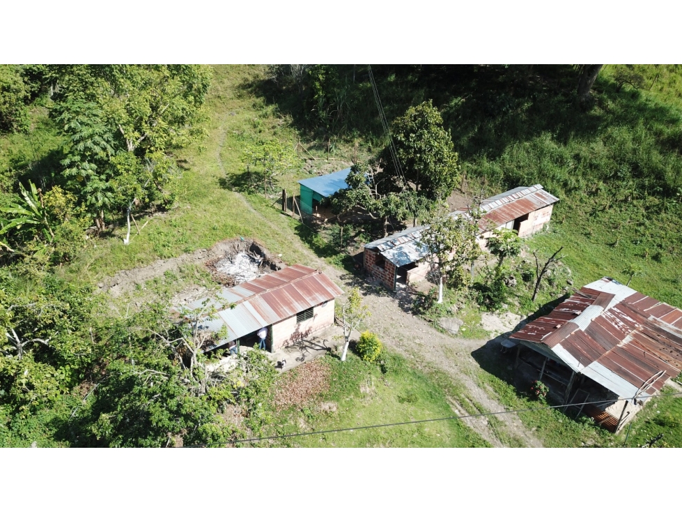 VENDO O PERMUTO FINCA EN CHINACOTA CON AGUAS TERMALES - 6