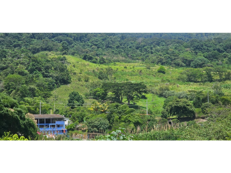 VENDO O PERMUTO FINCA EN CHINACOTA CON AGUAS TERMALES - 2