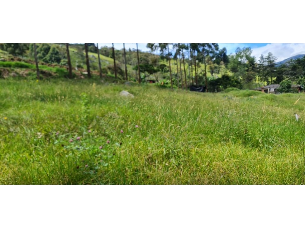VENDO LOTE EN CHINACOTA - 2
