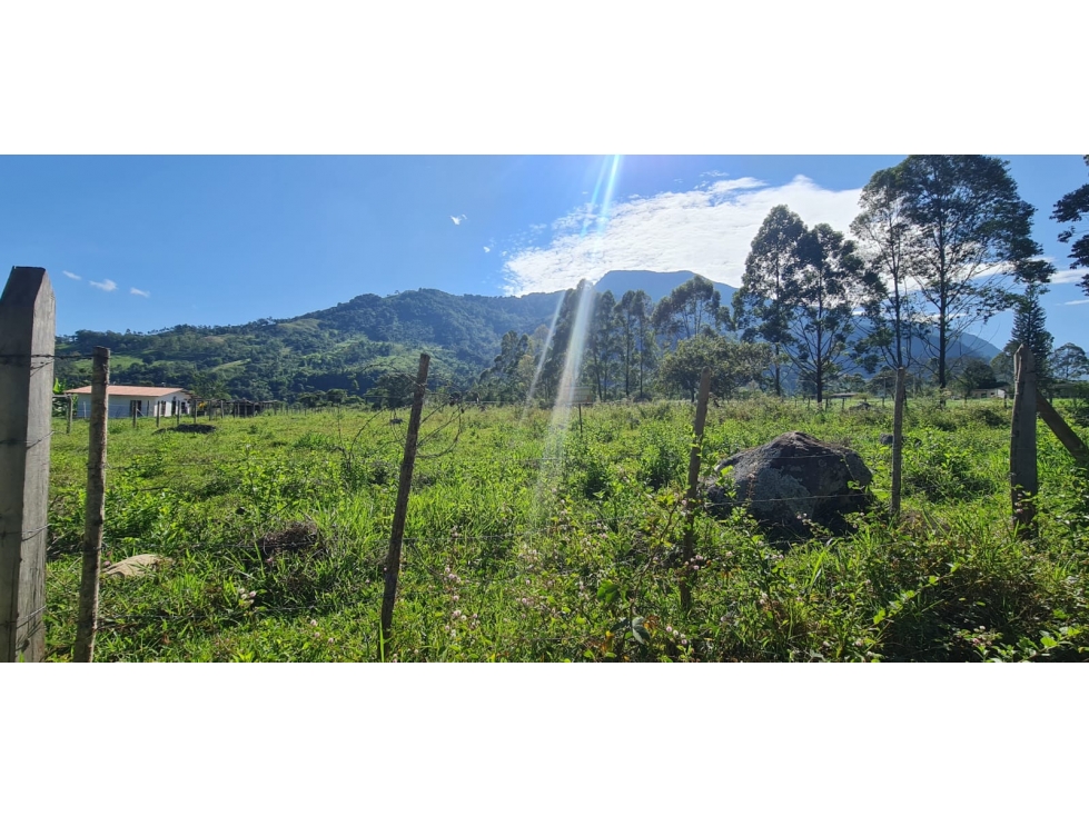 VENDO LOTE DE OPORTUNIDAD EN CHINACOTA - 2