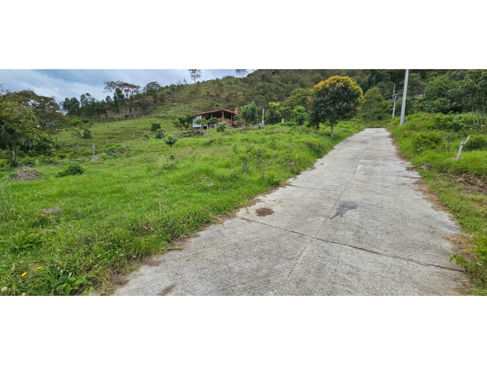 VENDO LOTE DE OPORTUNIDAD EN CHINACOTA - 5