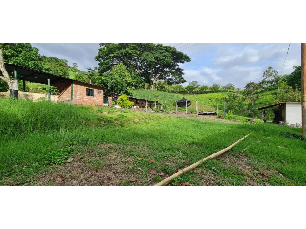 VENDO FINCA CON AGUAS TERMALES EN CHINACOTA - 1