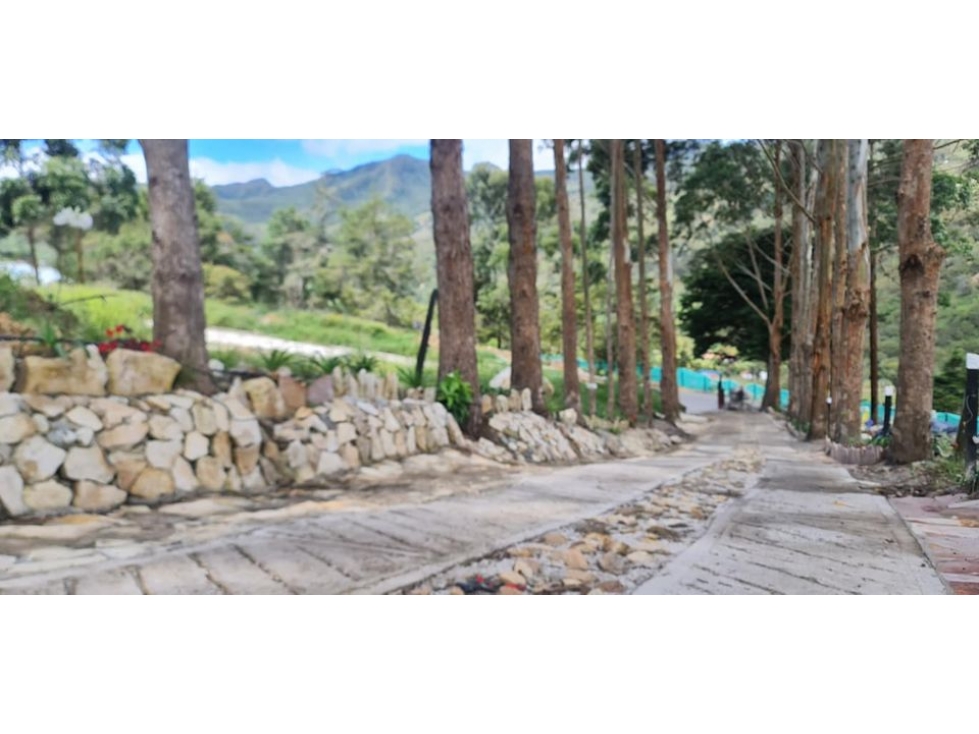 VENDO LOTE EN CHINACOTA - 3