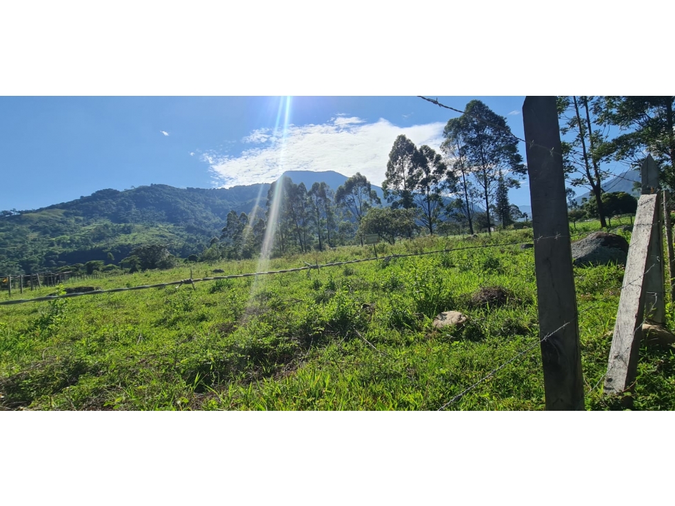 VENDO LOTE DE OPORTUNIDAD EN CHINACOTA - 3