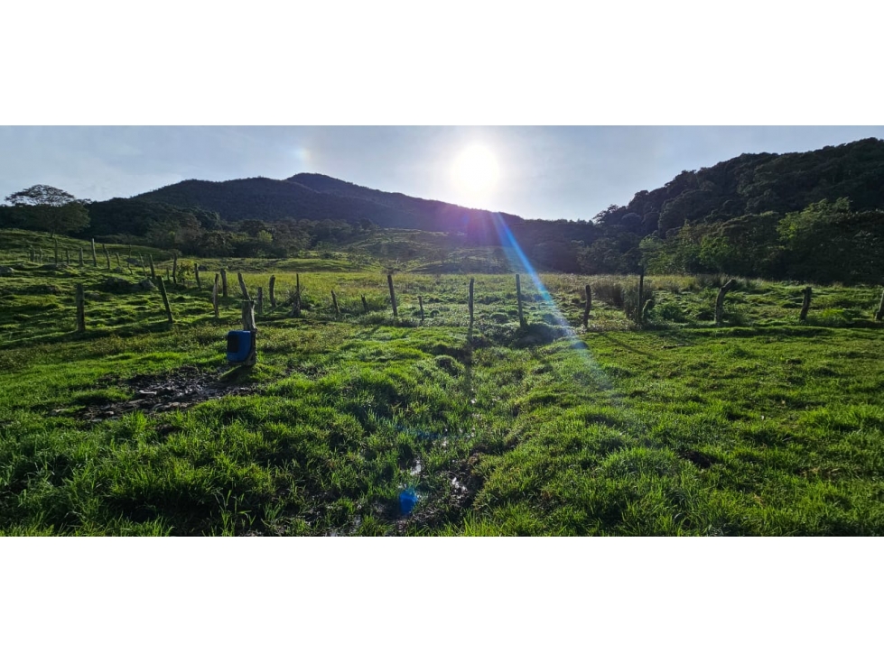 VENDO LOTE EN ISCALÁ SUR DE CHINACOTA - 3