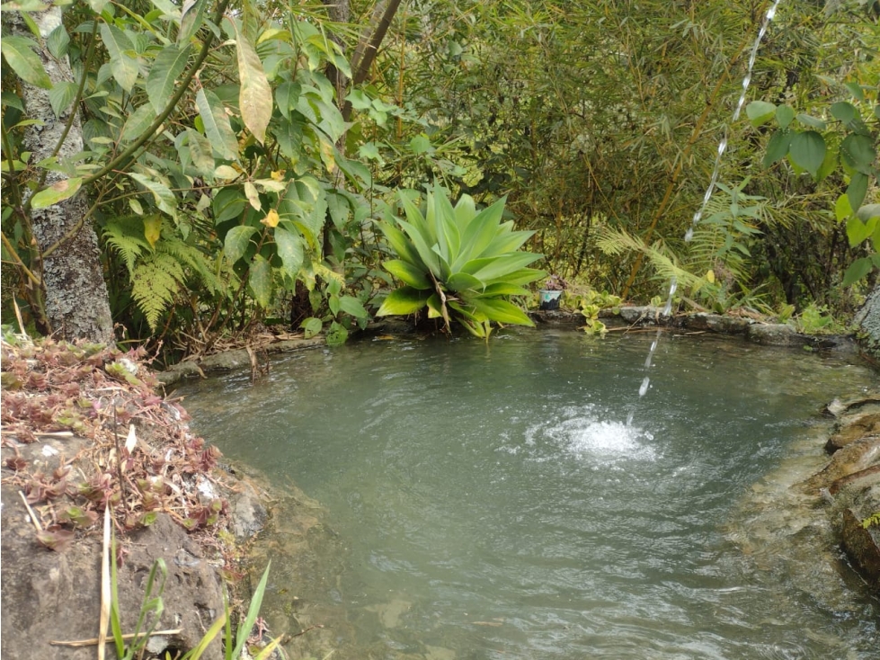 VENDO EXCELENTE LOTE EN CHINACOTA - 6