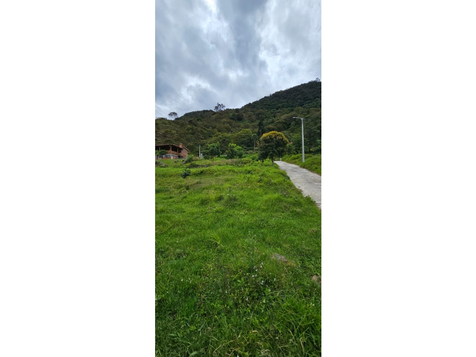 VENDO LOTE DE OPORTUNIDAD EN CHINACOTA - 2