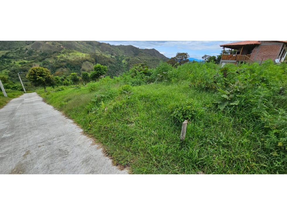 VENDO LOTE DE OPORTUNIDAD EN CHINACOTA - 3