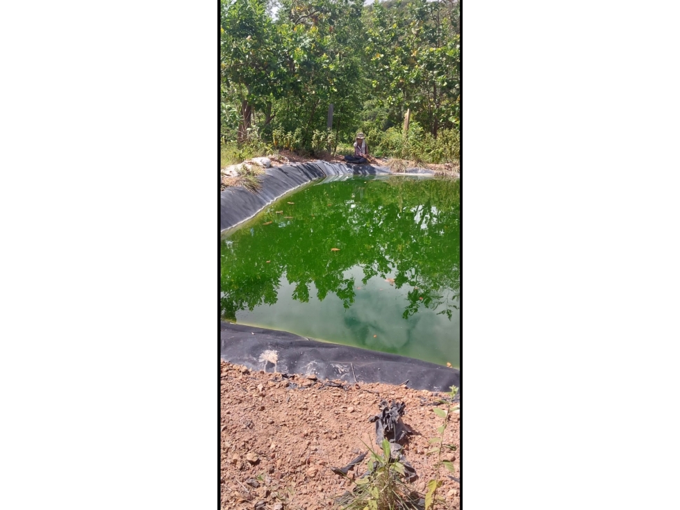 VENDO FINCA DE 81 HECTAREAS EN DURANIA - 3