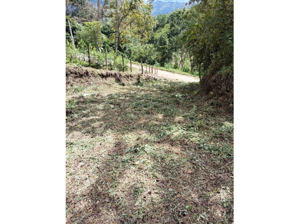 VENDO O PERMUTO LOTE EN CHINACOTA - 4