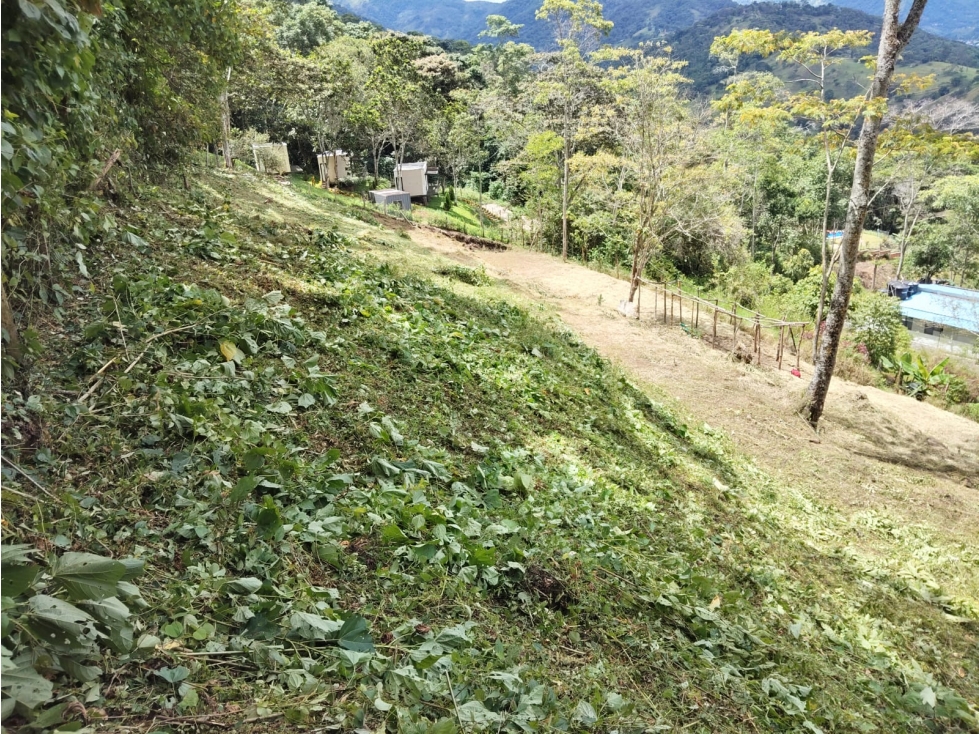 VENDO O PERMUTO LOTE EN CHINACOTA - 1