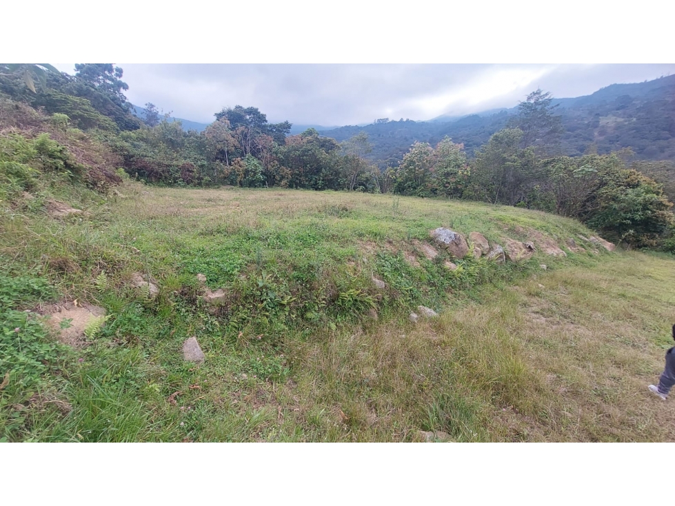 VENDO LOTE ECONOMICO EN CHINACOTA - 6