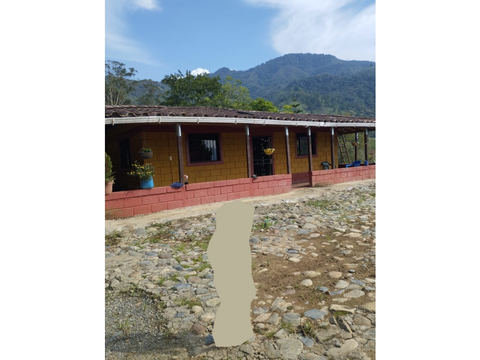 VENDO FINCA DE 9 CUADRAS CON MARRANERAS ENTRE BARBOSA Y PORCE - 1