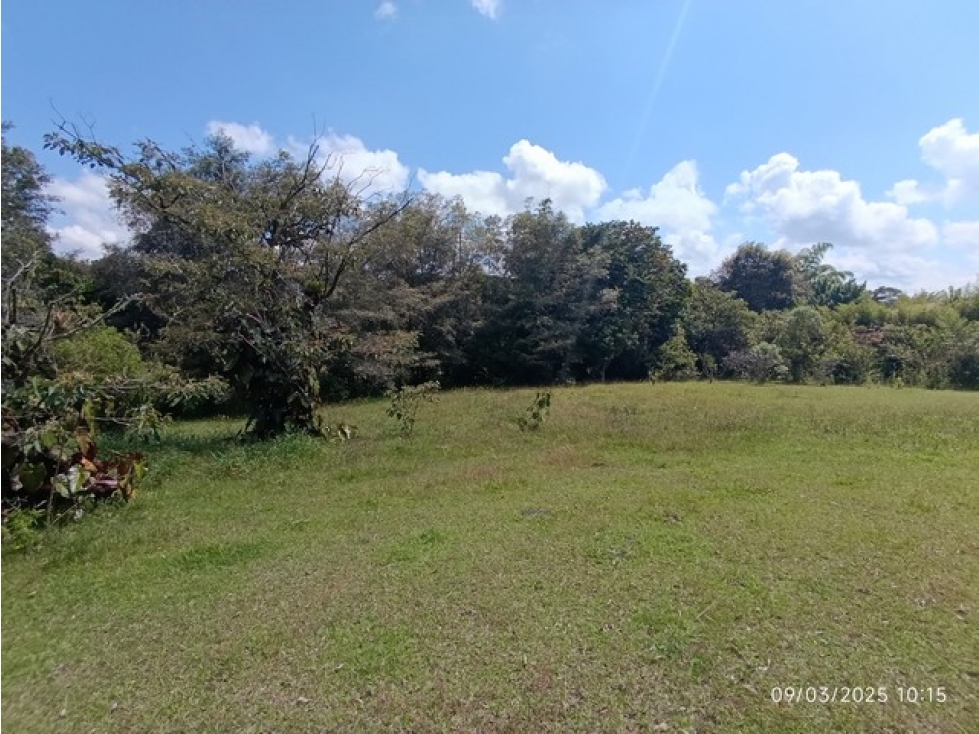 VENDO LOTE EN LLANO GRANDE VEREDA CABECERAS DE 6.307 m² MUY PLANO — foto 5
