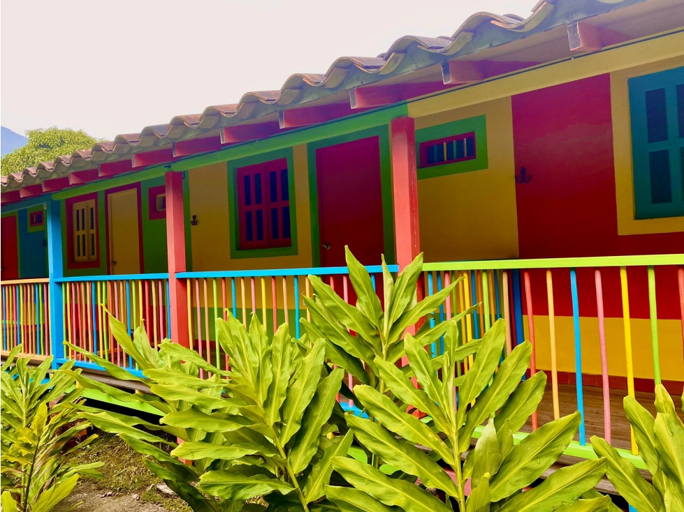 VENTA DE FINCA EN AMAGA - 4