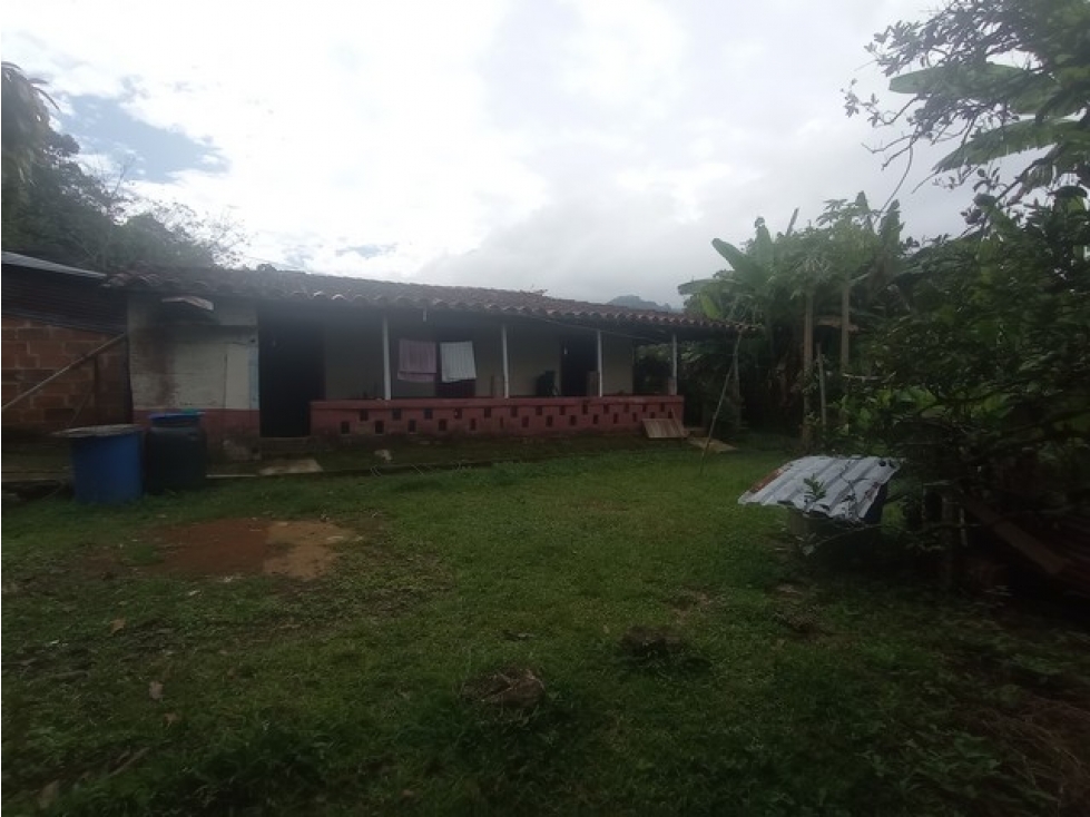 VENDO FINCA EN VENECIA DE 42 CUADRAS CON GRAN POTENCIAL PRODUCTIVO — foto 4