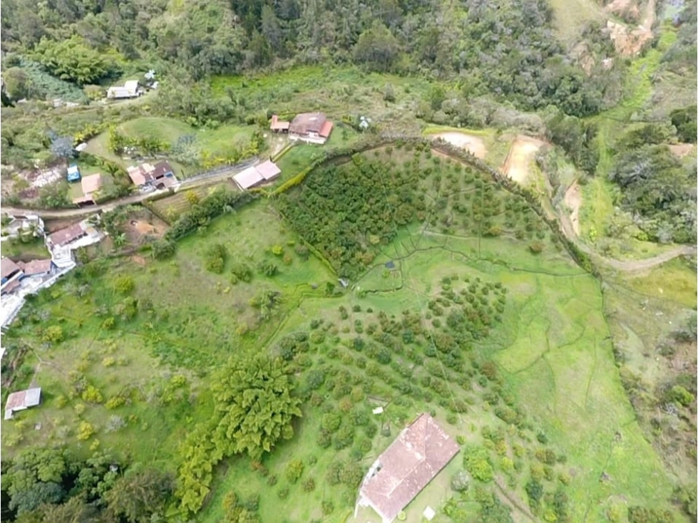 VENDO FINCA DE 62.700 m² PARA CULTIVOS SAN VICENTE FERRER ANTIOQUIA