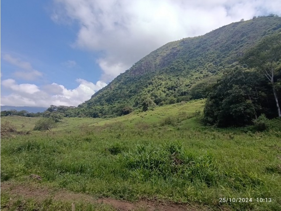 VENDO FINCA GANADERA DE 123 CUADRAS CERCA A MARSELLA EN FREDONIA - 1