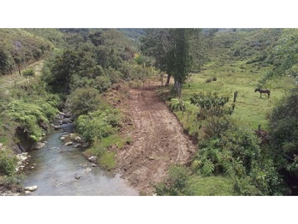 VENDO FINCA / LOTE DE 15 HECTÁREAS DE BOSQUE EN EL CARMEN DE VIBORAL — foto 4